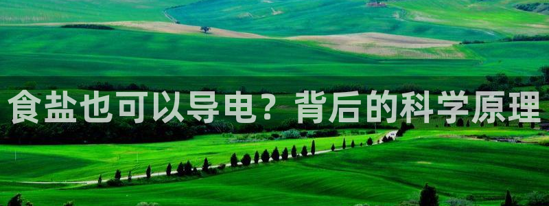 威九国际电子游戏