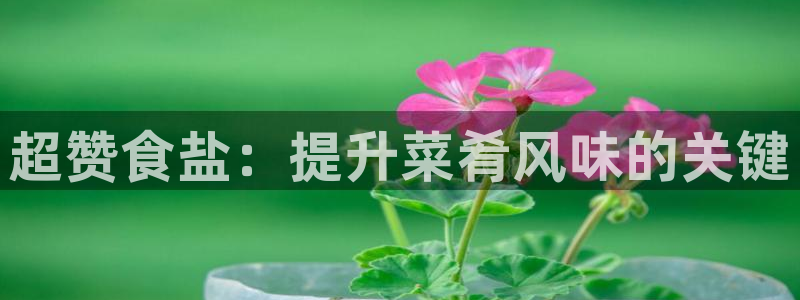 威九国际免费游戏