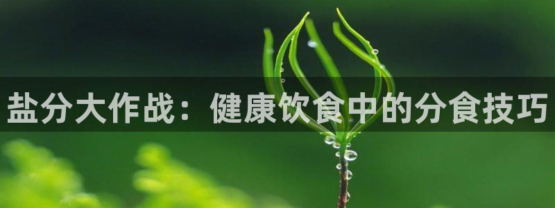 威九国际的演员