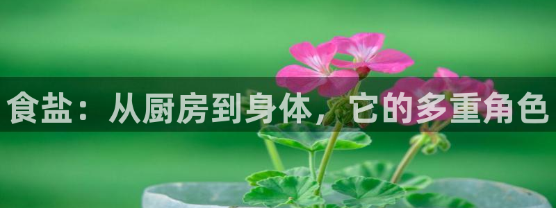 威九国际替好友去