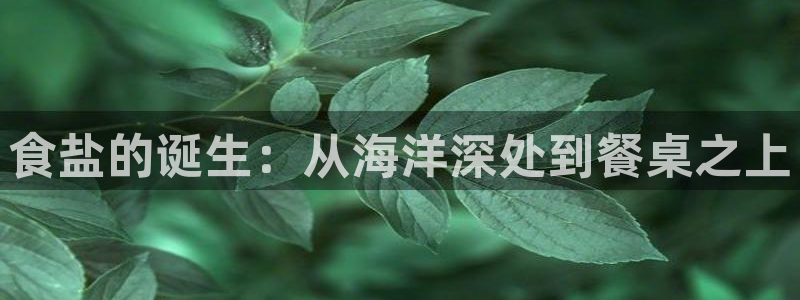 威九国际网站怎么样知乎