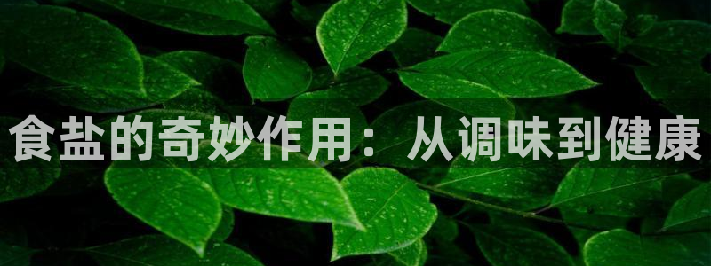 威九国际取款多到账
