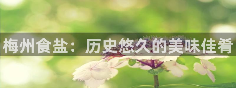 威九国际78mb官网