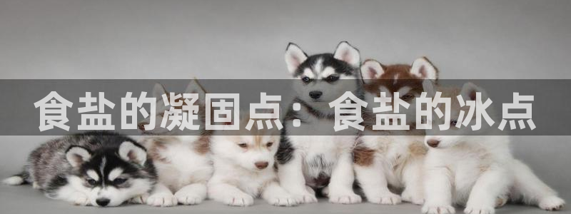 威九国际网站客服电话多少啊