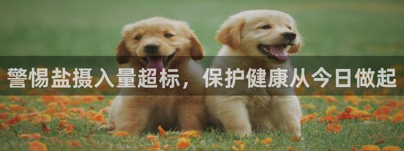 保定威九网络科技有限公司
