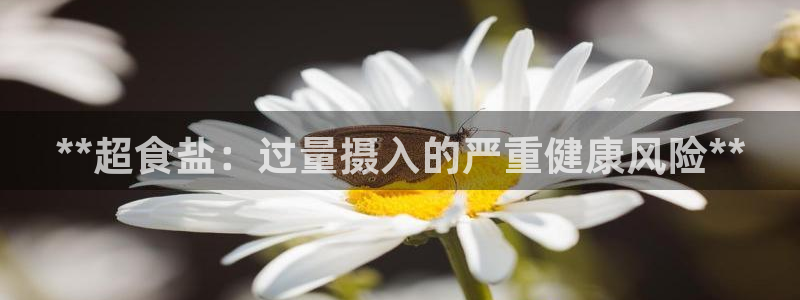 66m威九国际精选