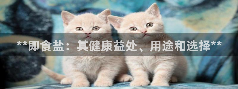 威九国际空降服务女演员名字