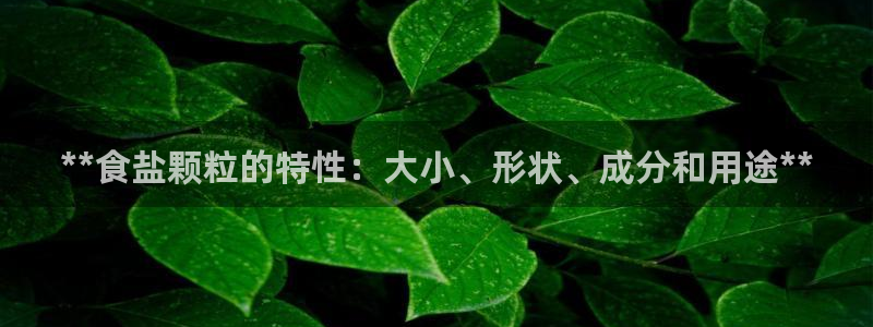 威九国际网站入口官网首页下载