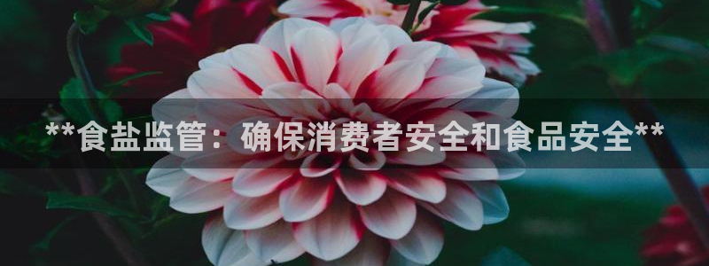 威九国际8ⅹ8x