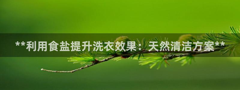 威九国际网站客服电话多少啊