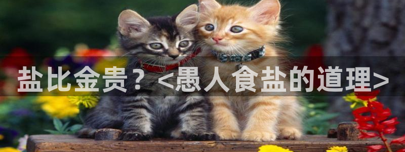 威九国际能提现吗现在