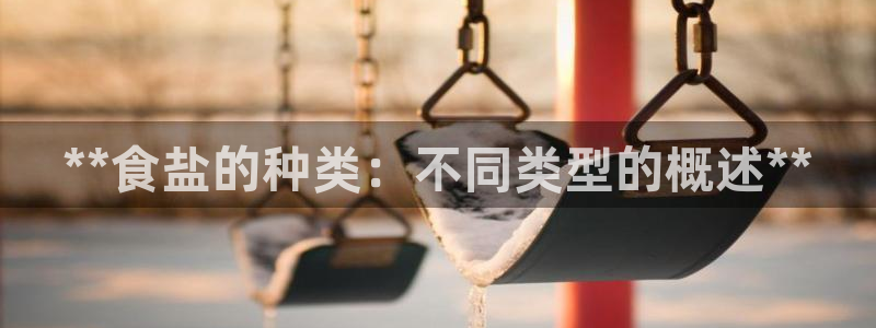 威九国际ppt免费下载