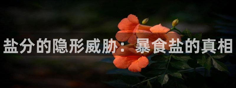 威九国际韩国