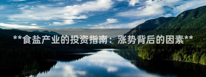 威九国际APP大全