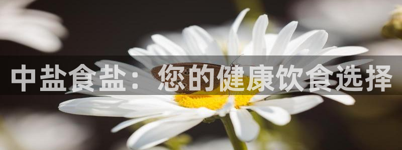 66m威九国际成长模式