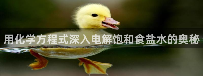 威九国际网站进入产品中心怎么进