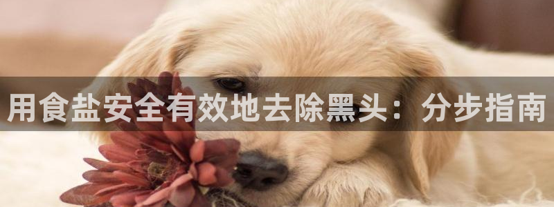 威九国际网站在哪里
