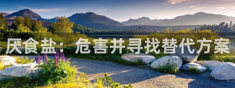 威九国际韩国
