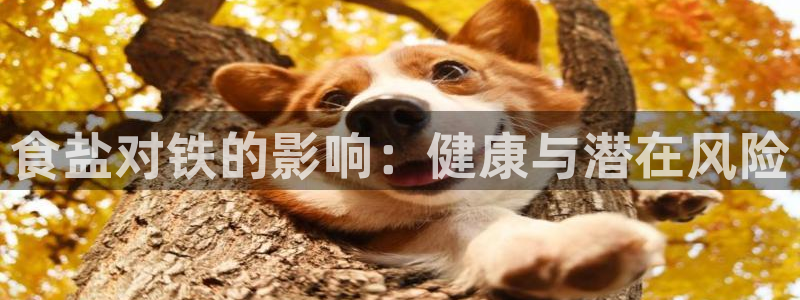 威九国际女星