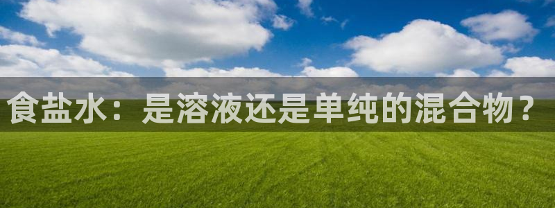 威九国际男主