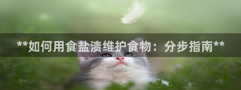 威九国际78ma