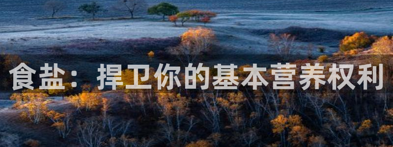 威九国际h5