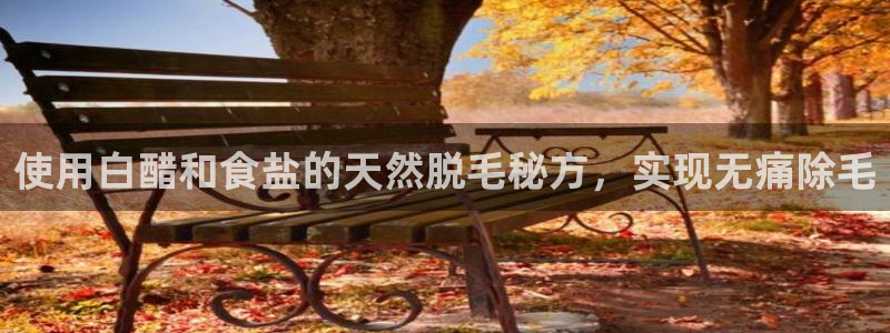 威九国际惠子