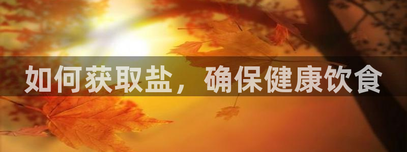 威九国际网站传媒招聘