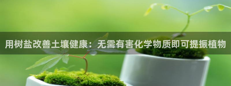 威九国际电视