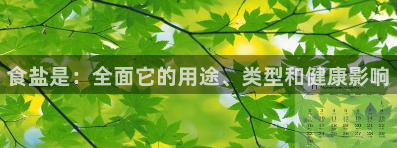 威九国际78mB
