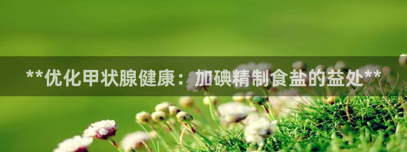 威九国际官方下载