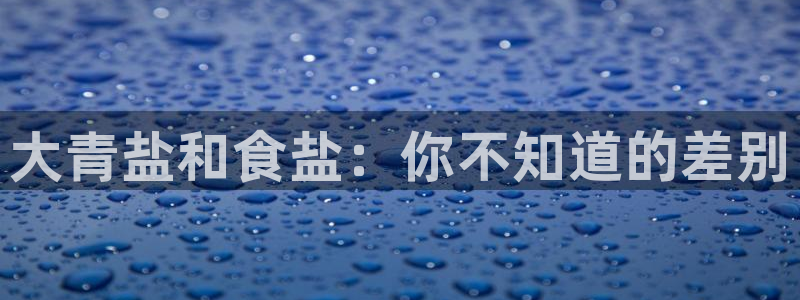 保定威九网络科技有限公司