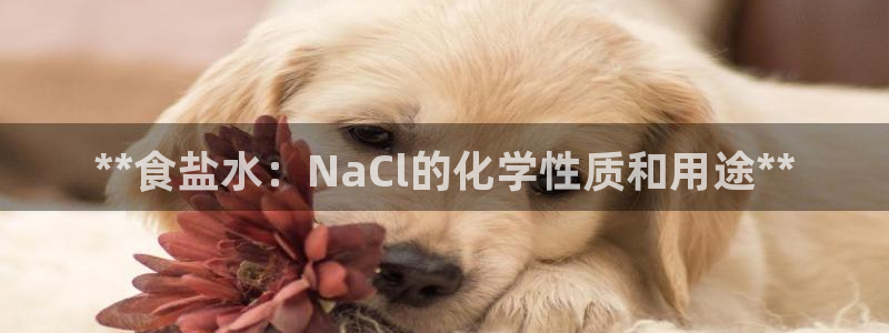 威九国际网站怎么样