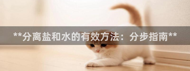 威九国际全国空降