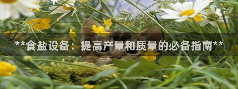 威九国际网站人入口