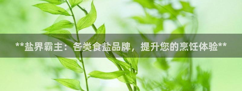 威九国际系列