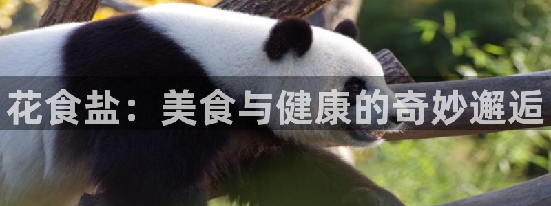 威九国际免费进入