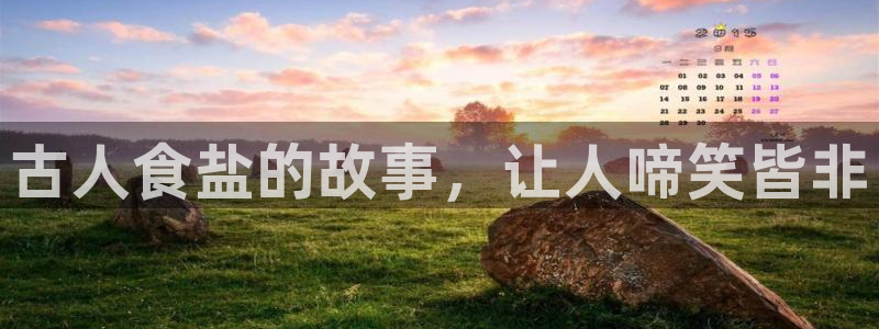 威九国际H