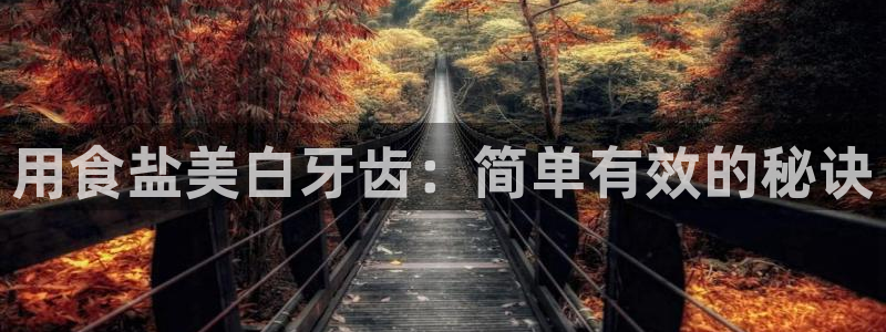 威九国际精选酒店地址