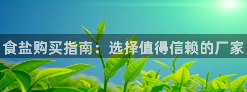 威九国际网站传媒招聘