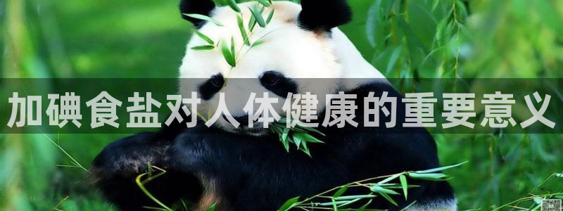 威九国际官方下载