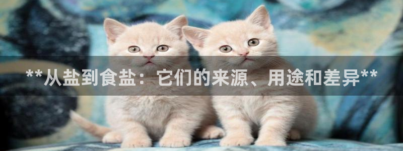 威九国际网站传媒