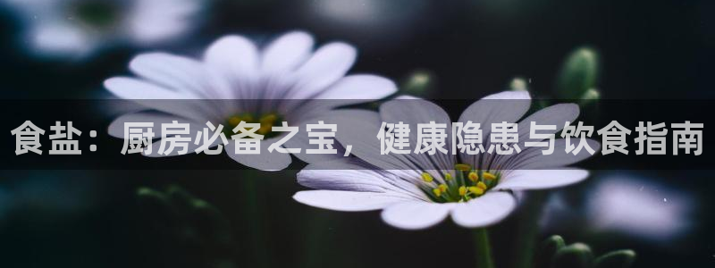 威九国际网站进入(中国)有限公司-官网