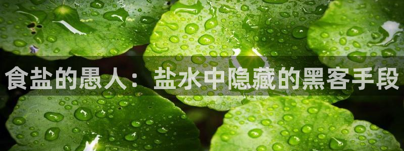 威九国际w98