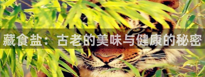 威九国际78m