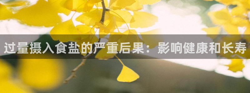 威九国际小说