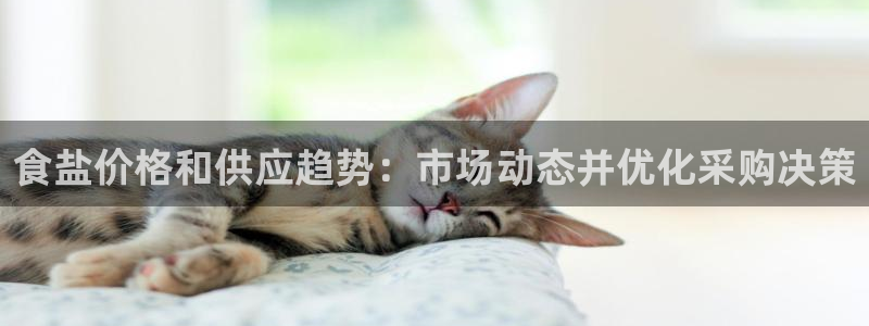 威九国际可以赚到钱