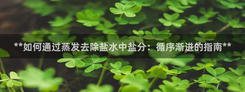 78mapp威九国际网页版