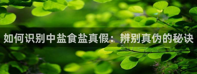 威九国际清砖码头在哪