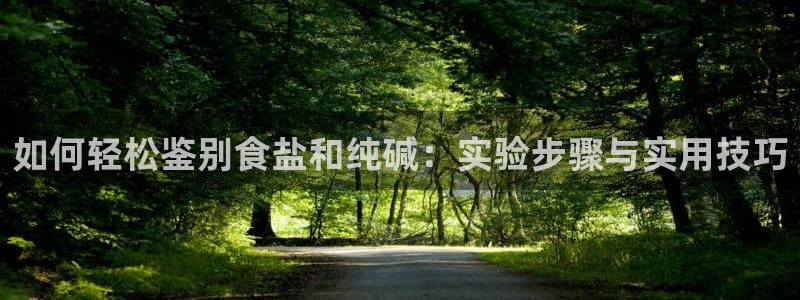 保定威九网络科技有限公司
